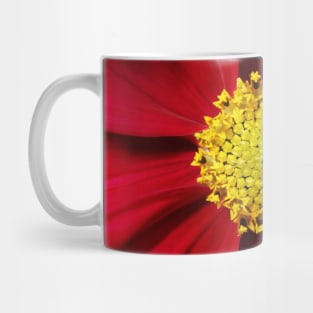 Cosmos in Red Mug